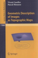 GEOMETRIC DESCRIPTION OF IMAGAGES AS TOPOGRAPHIC MAPS