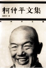 柯仲平文集  3  文论卷