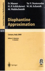 DIOPHANTINE APPROXIMATION