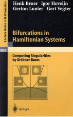 BIFURCATIONS IN HAMILTONIAN SYTEMS