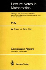 LECTURE NOTES IN MATHEMATICS 1430: COMMUTATIVE ALGEBRA