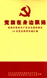 党旗在身边飘扬  西岗区保持共产党员先进性教育20名党员典型事迹汇编