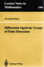 DIFFERENTIAL ALGEBRAIC GROUPS OF FINITE DIMENTSION