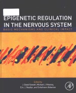 Epigenetic regulation in the nervous system : basic mechanisms and clinical impact