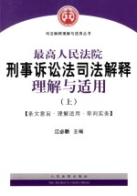 最高人民法院刑事诉讼法司法解释理解与适用  条文意旨·理解适用·审判实务  上