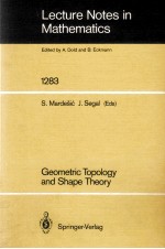 LECTURE NOTES IN MATHEMATICS 1283: GEOMETRIC TOPOLOGY AND SHAP THEORY