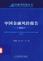 中国金融风险报告  2015