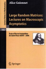 LARGE RANDOM MATRICES: LECTURES ON MACROSCOPIC ASYMPTOTICS