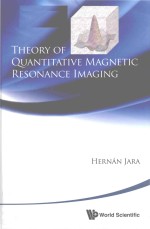 Theory of quantitative magnetic resonance imaging