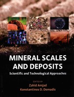 MINERAL SCALES AND DEPOSITS SCIENTIFIC AND TECHNOLOGICAL APPROACHES