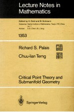 LECTURE NOTES IN MATHEMATICS 1353: CRITICAL POINT THEORY AND SUBMANIFOLD GEOMETRY