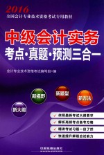 中级会计实务考点·真题·预测三合一