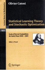 STATISTICAL LEARNING THEORY AND STOCHASTIC OPTIMIZATION