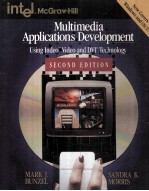 Multimedia Applications Development Using Indeo TM Video and DVI R Technology Second Edition