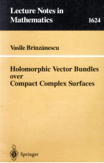 HOLOMORPHIC VECTOR BUNDLES OVER COMPACT COMPLEX SURFACES