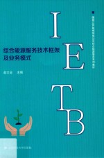 国网江苏盐城供电公司综合能源服务  综合能源服务技术框架及其业务模式