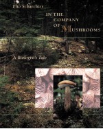 IN THE COMPANY OF MUSHROOMS