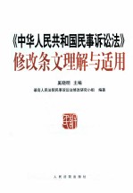 《中华人民共和国民事诉讼法》修改条文理解与适用