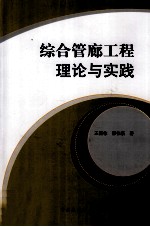 综合管廊工程理论与实践