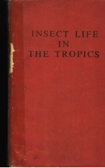 INSECT LIFE IN THE TROPICS