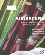 Sugarcane Agricultural Production