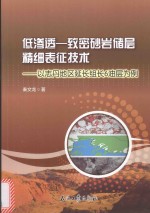 低渗透-致密砂岩储层精细表征技术  以志丹地区延长组长6油层为例