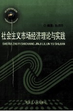 社会主义市场经济理论与实践