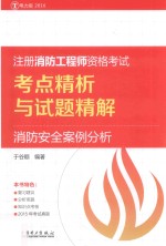 注册消防工程师资格考试  考点精析与试题精解  消防安全案例分析