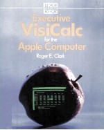 Executive VisiCalc for the Apple Computer