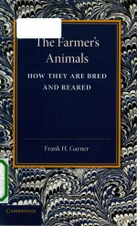 The Farmer's Animals How they are Bred and Reared