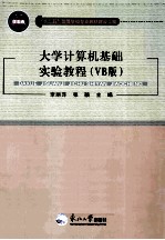 大学计算机基础实验教程  VB版