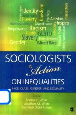 Sociologists in Action On Inequalities Race