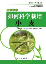 如何科学栽培小麦