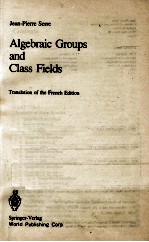 ALGEBRAIC GROUPS AND CLASS FIELDS