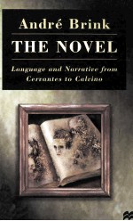 The Novel Language and Narrative from Cervantes to Calvino