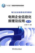 电网企业信息化原理及应用  第2版