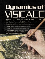 DYNAMICS OF VisiCalc