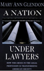 A NATION UNDER LAWYERS