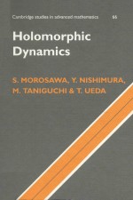 Holomorphic dynamics