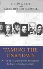 Taming The Unknown A History of Algebra from Antiquity to the Early Twentieth Century