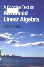 A concise text on advanced linear algebra