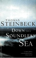 DOWN TO A SOUNDLESS SEA