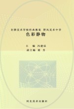 名牌美术学校经典教案  野风美术中学  色彩静物