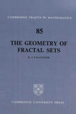 The geometry of fractal sets