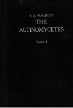 THE ACTINOMYCETES:NATURE