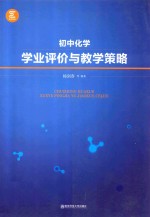 学业评价与教学策略  初中化学