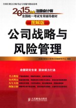 2015年度注册会计师全国统一考试专用辅导教材  公司战略与风险管理  图解版