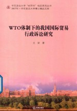 WTO体制下的我国国际贸易行政诉讼研究