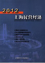 2012上海民营经济