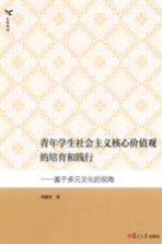 青年学生社会主义核心价值观的培育和践行  基于多元文化的视角